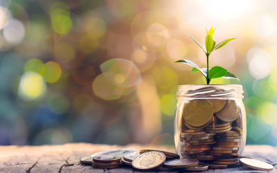 Crowdfunding – von der Idee zur Kampagne